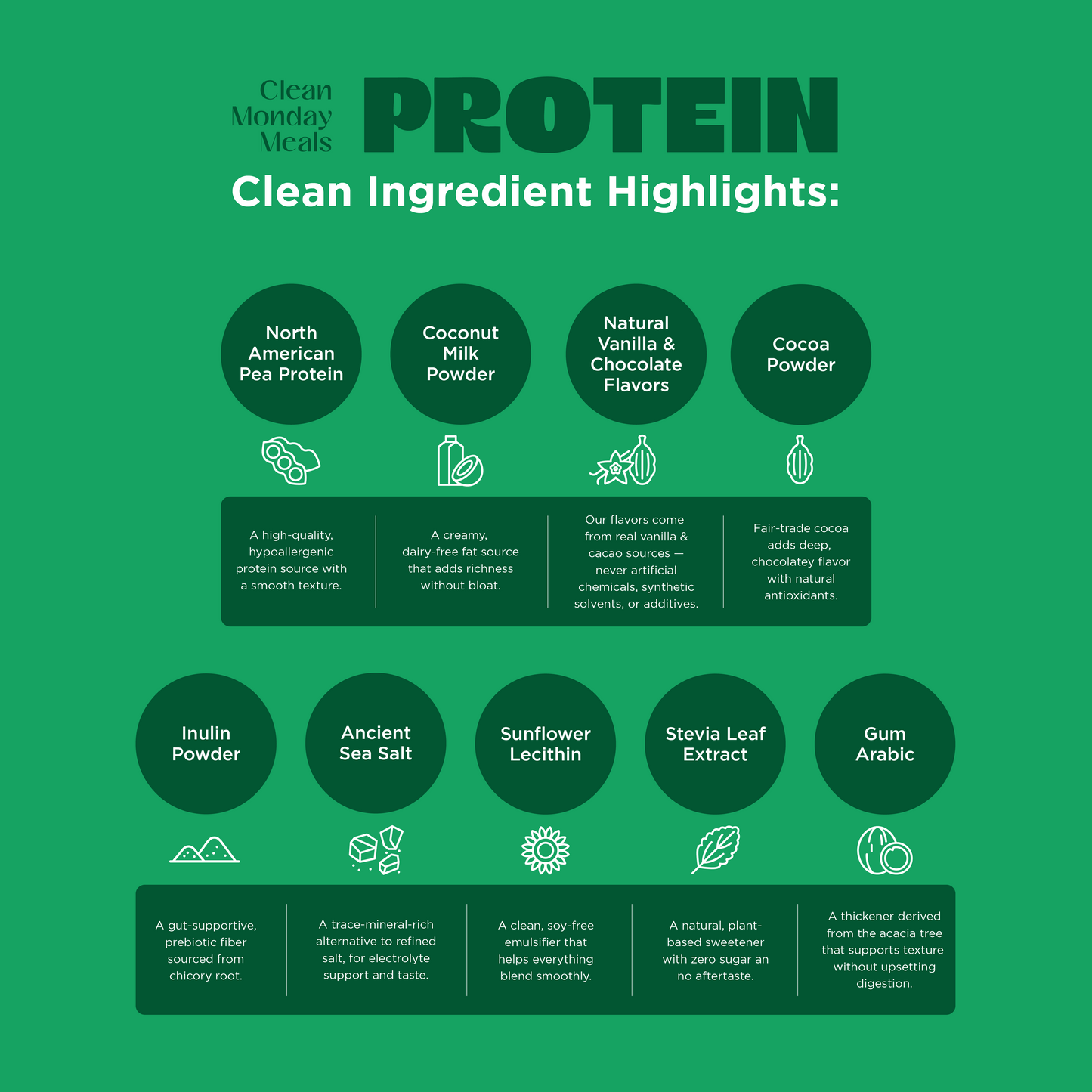 Plant-Based Protein - 20 Serving Bag & Stick Packs